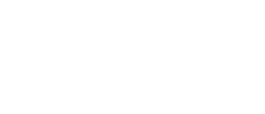 faex-logo (white)