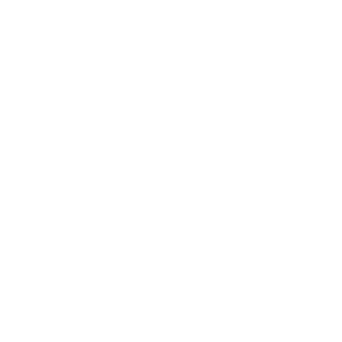 Parceiros__HAVAINAS_